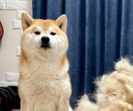 抜け毛