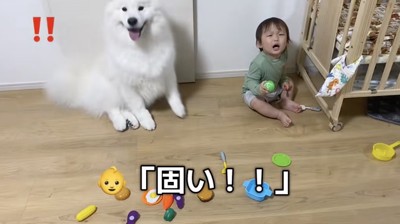 「怒られた！？」