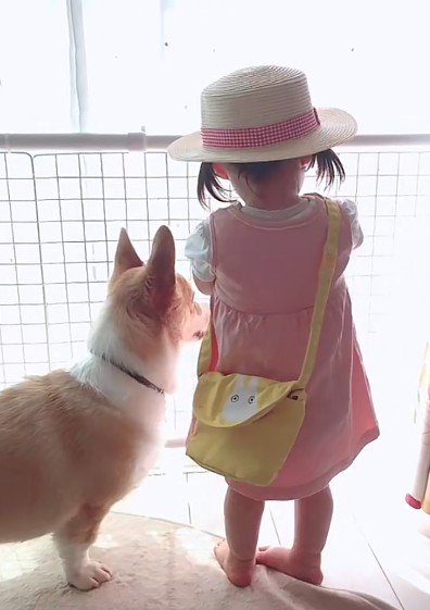 並んで窓の外を見つめることも