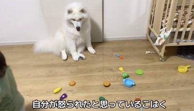 「どっか行っちゃった…」