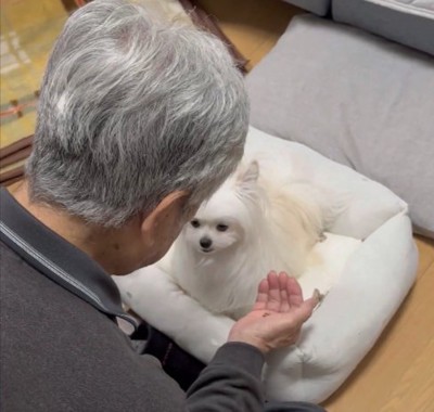 おじいちゃん