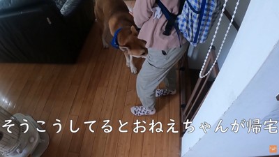 お姉ちゃんが学校から帰ってきました