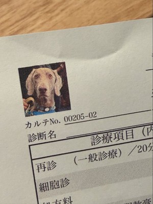 カルテ用