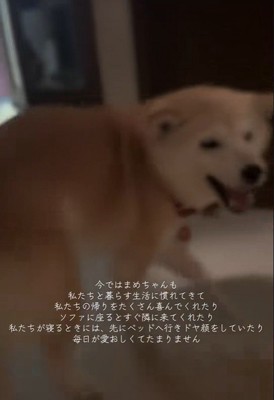 いい笑顔♪