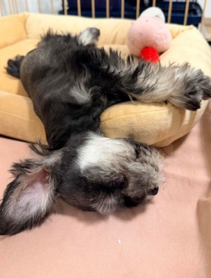 初日から大物ぶりを見せていた