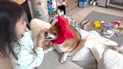 歯が手に当たったので叱ったら…