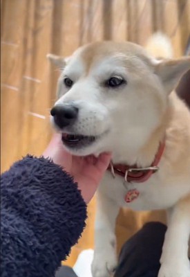 大喜びでお出迎え♪