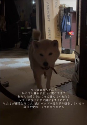 「一緒に寝たい!」と寄ってきて…