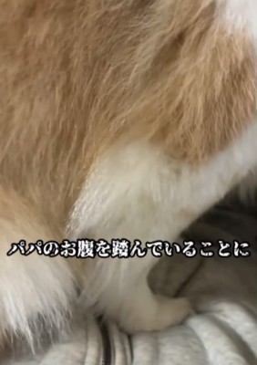 踏まれるパパ