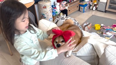 もう一度「噛んだ？」と問い詰めたら…