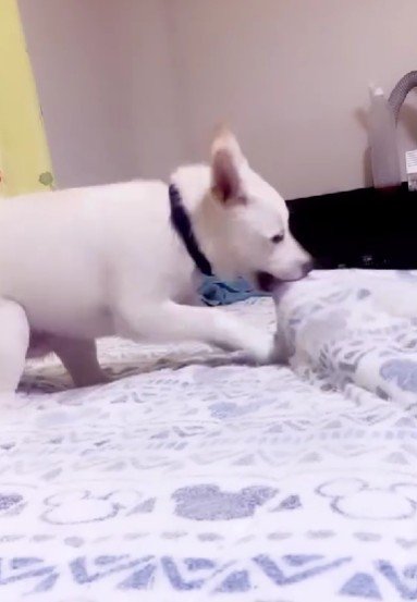 優しさが受け継がれる