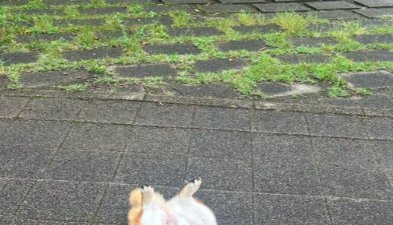 雨の日