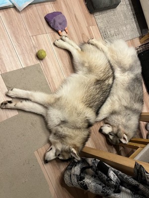 仲良し