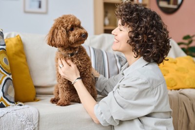 犬と触れ合う女性