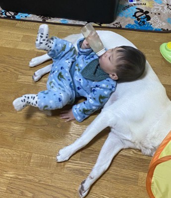 枕になってあげることも