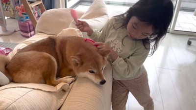 遊びを再開♪