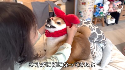 途中で嫌になって、歯をムキッ