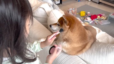 遊びに付き合ってくれる花子ちゃん