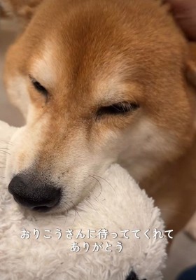 愛おしいお出迎えにホッコリ♡