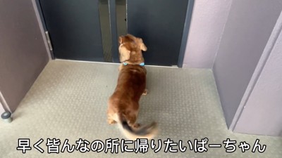 みんなの反応は…？