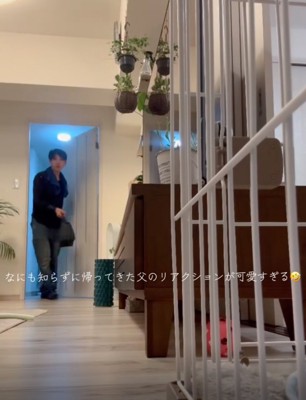 お父さんが帰宅