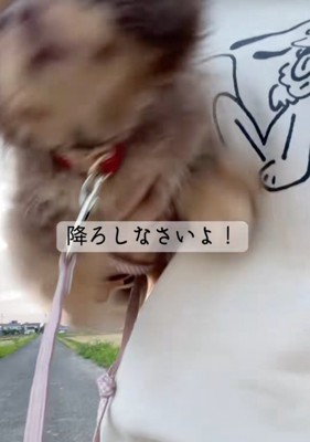 荒ぶる悠ちゃん