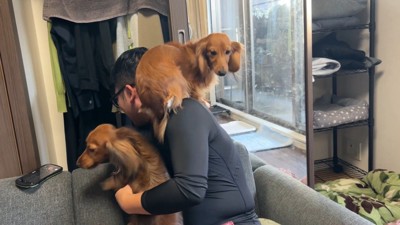 飼い主さんの肩に避難する子も（笑）