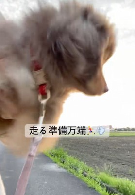 「今日は降ろしてもらえるかな？」