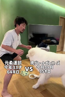 どちらもやる気満々!