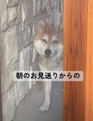 切ない顔でお見送り