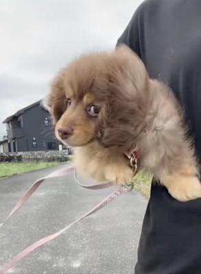 手足をバタバタ！