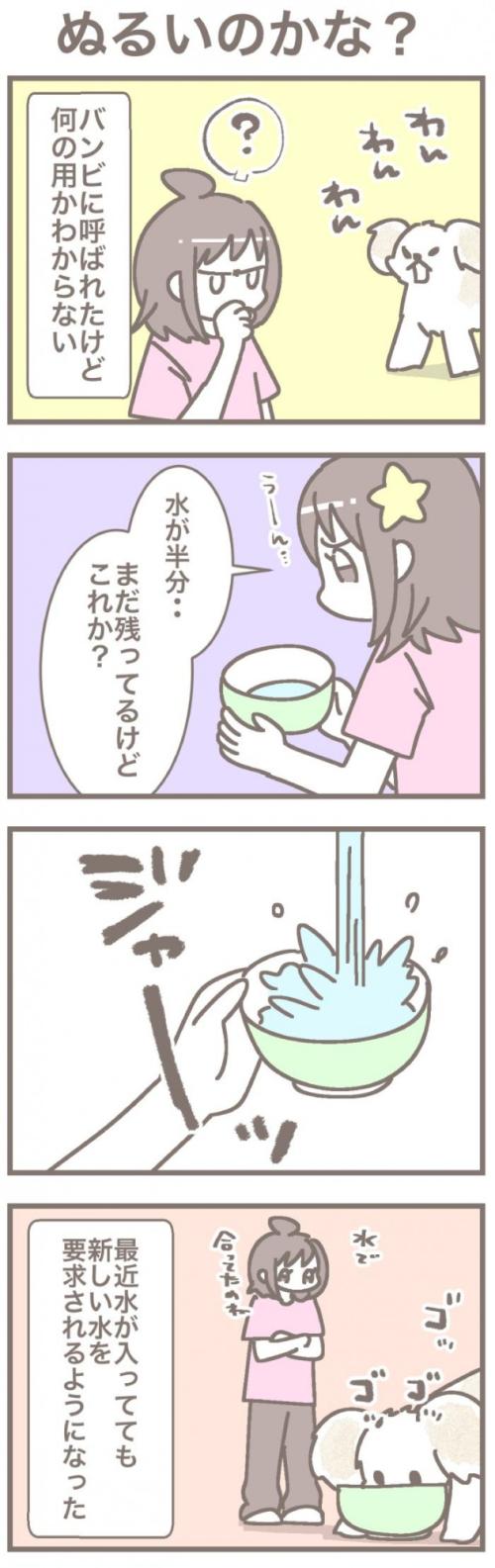 うちの王様にはどうしても抗えない【第363話】