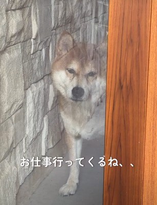 「行かないで」