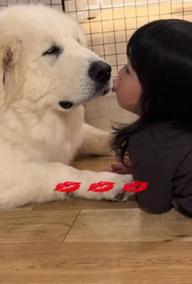 お互いに愛が止まらない