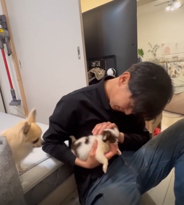 子犬を抱っこするお父さん