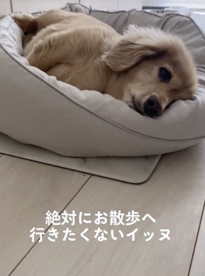 一点を見つめてる