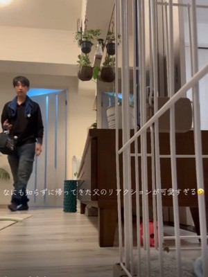 ケージを見るお父さん