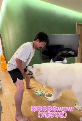 ニンマリするとと丸ちゃん