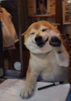 「いらっしゃい!」