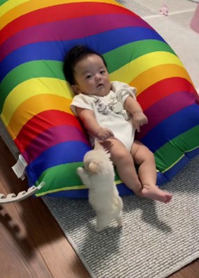 赤ちゃんと極小子犬さん