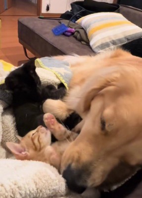 「今はダメだよ」