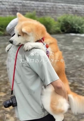 おはるちゃんのお尻を支えるパパ