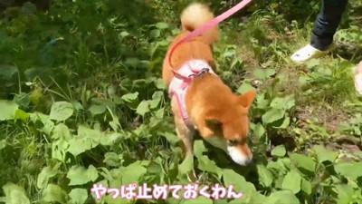 「やっぱ帰ろ~っと」