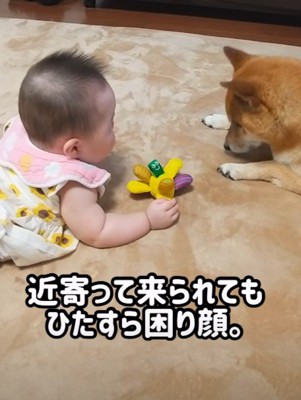 どうしていいか分からない…