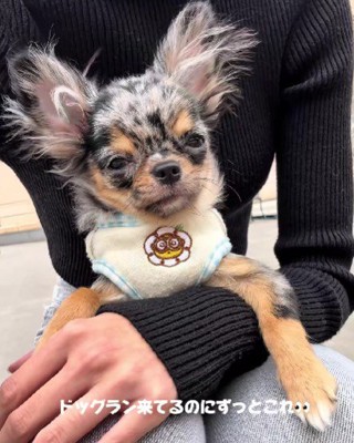 少しずつ慣れて行こう!