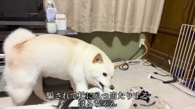 「心配したじゃない！」