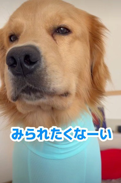 「オシャレな服がいい!」
