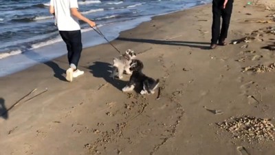 ジジちゃんは必死に抵抗！