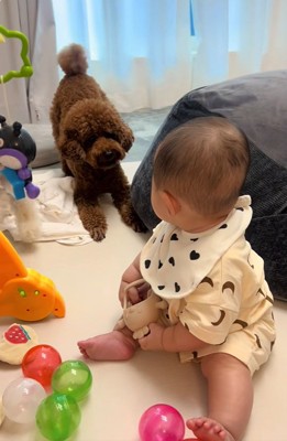 赤ちゃんと遊びたいからあげ君