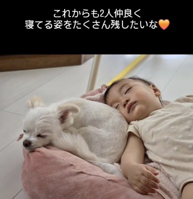 ずーっと仲良しでね